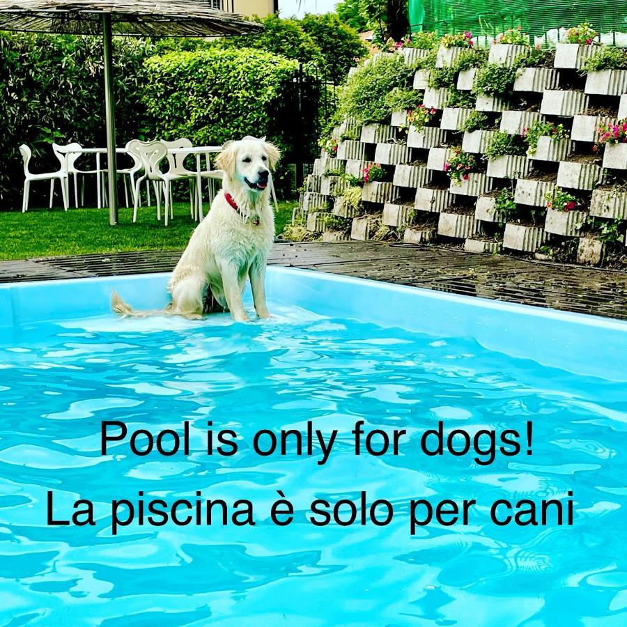 Appartamenti Casa Lory Bellagio Eksteriør billede